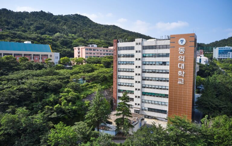 26-1. Dong-Eui University Central Library(out)